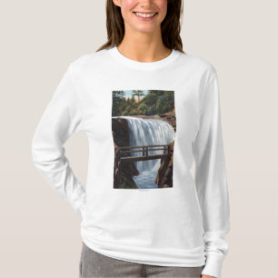 Colorado Springs, CO - Ramona, First of 7 T-Shirt