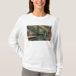 Colorado Springs, CO - Trout T-Shirt