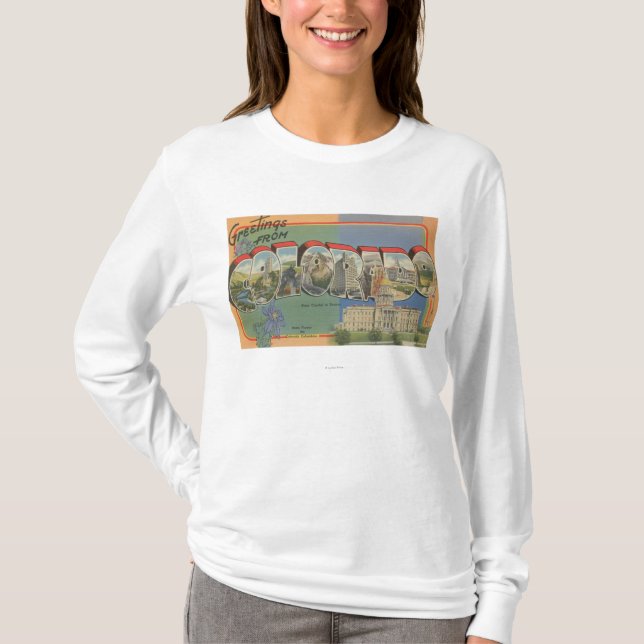 Colorado (State Capital Scene) T-Shirt (Front)