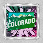 Colorado State Travel Patch