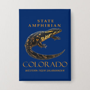 Colorado Territory Amphibian The Western Tiger