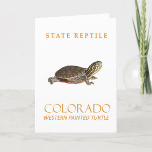 Colorado Territory Baby Western Painted Turtle Holiday Card