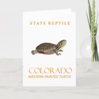 Colorado Territory Baby Western Painted Turtle Holiday Card