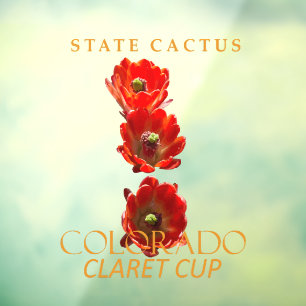 Colorado Territory Cactus The Claret Cup
