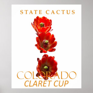 Colorado Territory Cactus The Claret Cup Poster