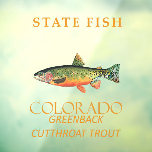 Colorado Territory Fish The Greenback Cutthroat Tr