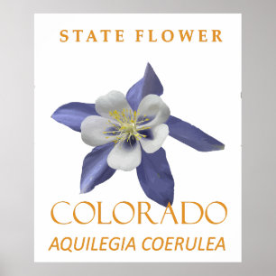Colorado Territory Flower Aquilegia coerulea Poster
