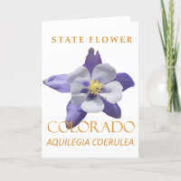 Colorado Territory Flower Blue Aquilegia coerulea