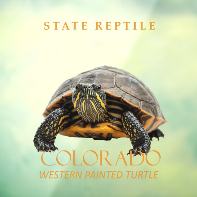 Colorado Territory Reptile Western Painted Turtle (Sheet 3)