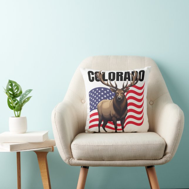 Colorado Throw Pillow (Chair)