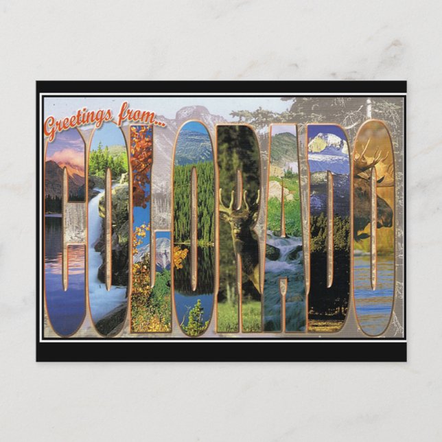 Colorado Vintage Postcard (Front)