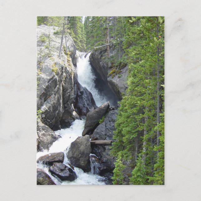 Colorado Waterfall Postcard (Front)