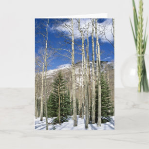 Colorado Wilderness Card