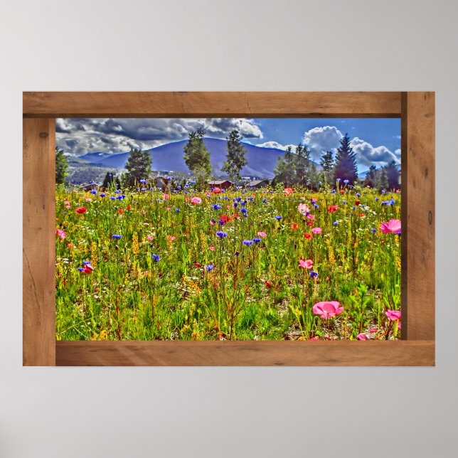 Colorado wildflower mountain view poster print (Front)