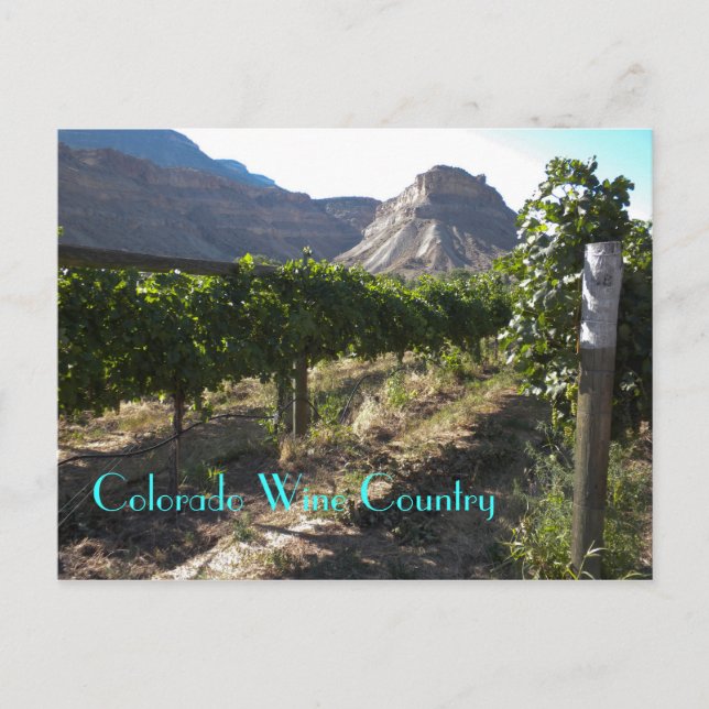 Colorado Wine Country Postcard (Front)