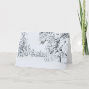 Colorado Winter Card