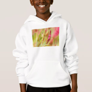 colorbush