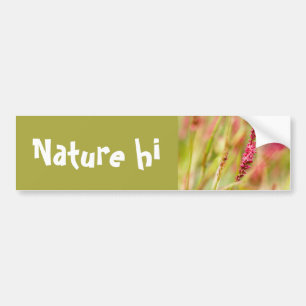 colorbush bumper sticker