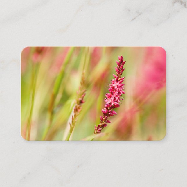 colorbush business card (Front)