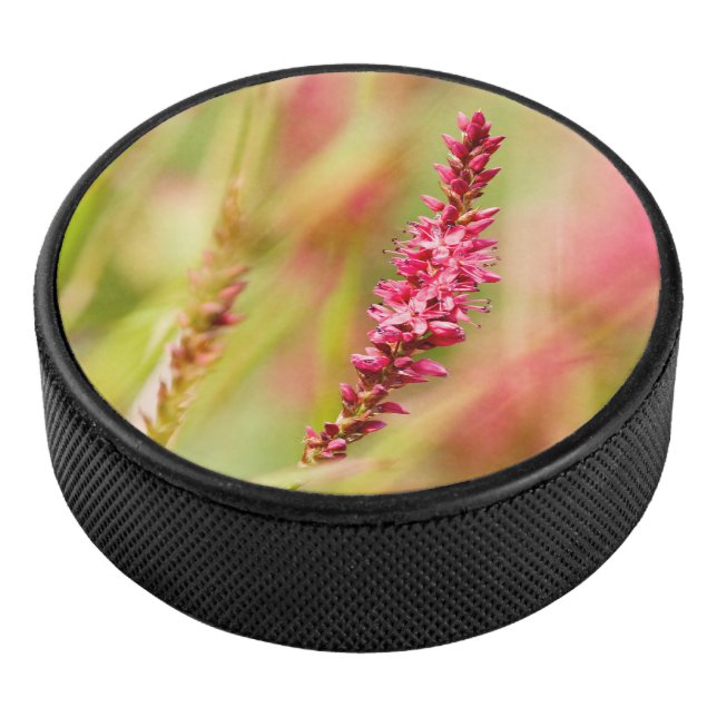colorbush hockey puck (3/4)