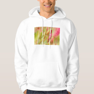 colorbush hoodie