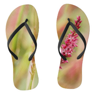 colorbush jandals
