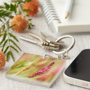 colorbush key ring