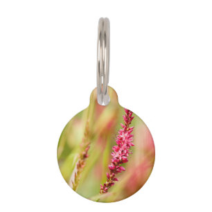 colorbush pet tag