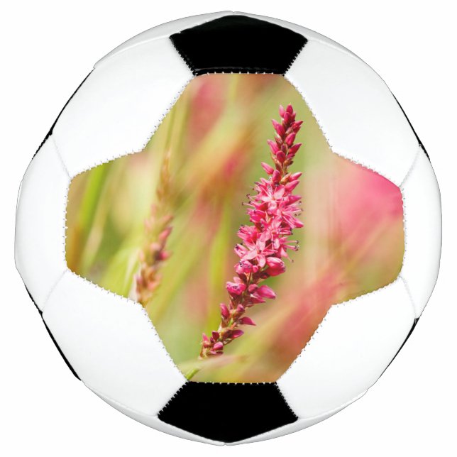colorbush soccer ball (Front)