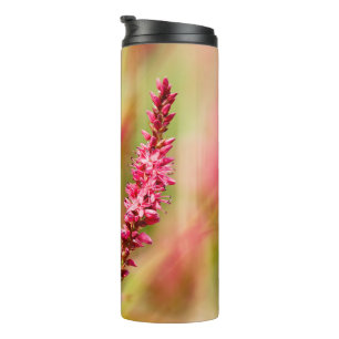 colorbush thermal tumbler