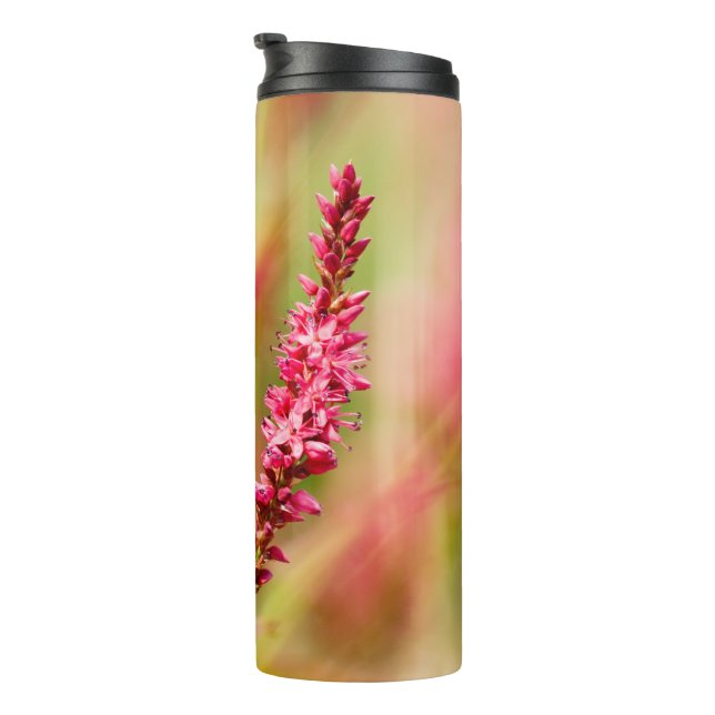colorbush thermal tumbler (Rotated Right)