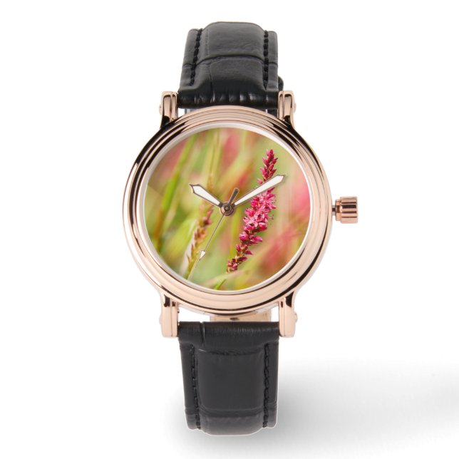colorbush watch (Front)