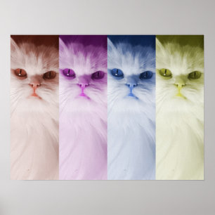 Colored Cat Poster