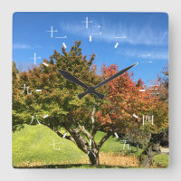 Colored Maple Tree in Autumn