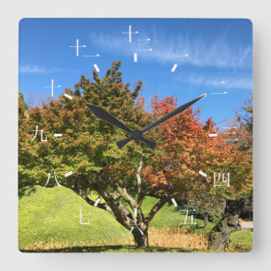 Colored Maple Tree in Autumn Square Wall Clock