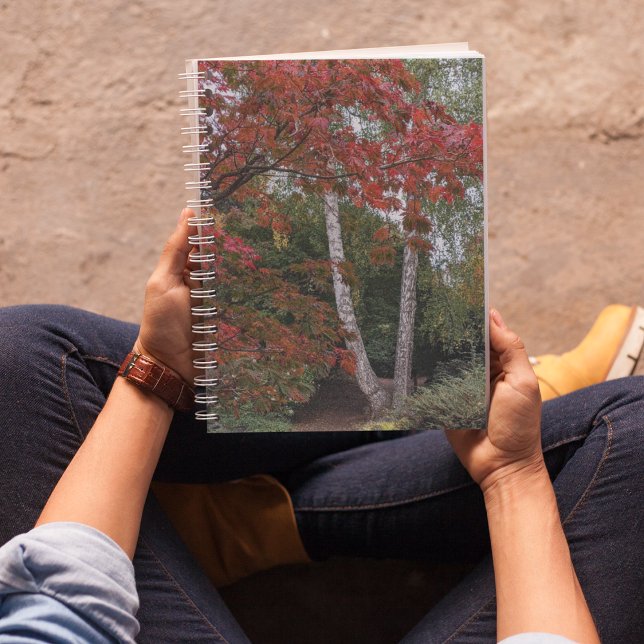 Colorful Autumn Leaves Landscape Notebook (In Situ)
