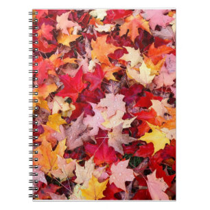 Colorful Autumn Leaves Notebook