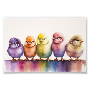 Colorful Baby Chicks, Baby Room, Baby Shower Photo Print