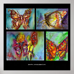 COLORFUL BUTTERFLIES COLLECTION POSTER