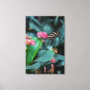 colorful butterfly in the garden canvas print