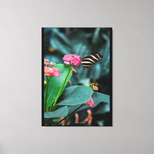 colorful butterfly in the garden canvas print