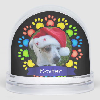 Colorful Christmas Paws Custom Pet Photo Snowglobe