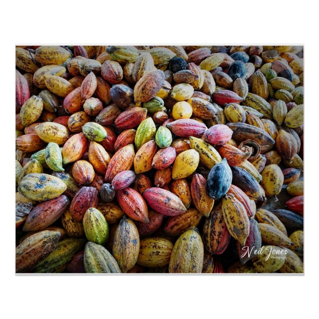 Colorful Coca Pods Photographic design Poster (Front)