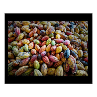 Colorful Cocoa Pods photographic design Poster