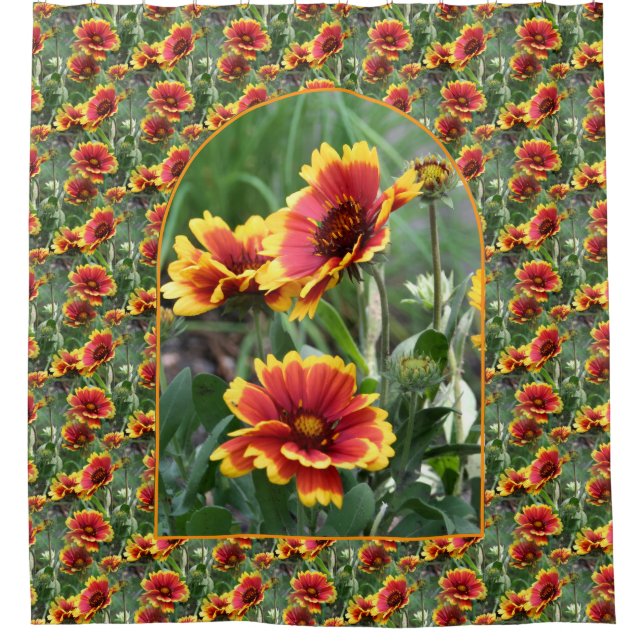 Colorful Daisies Flower Pattern Nature  Shower Curtain (Front)