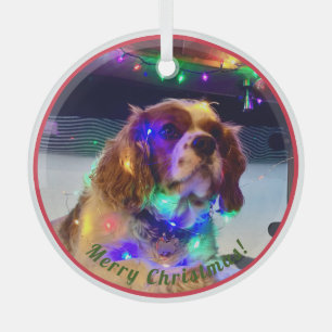 Colorful Dog Christmas Ornament