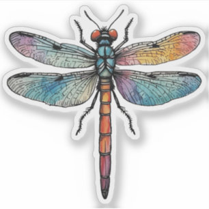Colorful Dragonfly