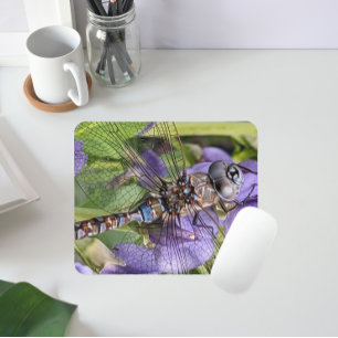 Colorful Dragonfly on Purple Flowers Mouse Pad