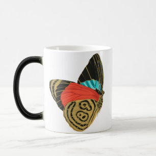 Colorful exotic butterfly  butterfly  magic mug
