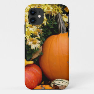 Colorful fall decorative pumpkin display iPhone 11 case
